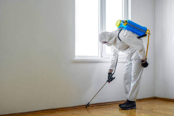 Emergency Pest Control in Crown Point, IN